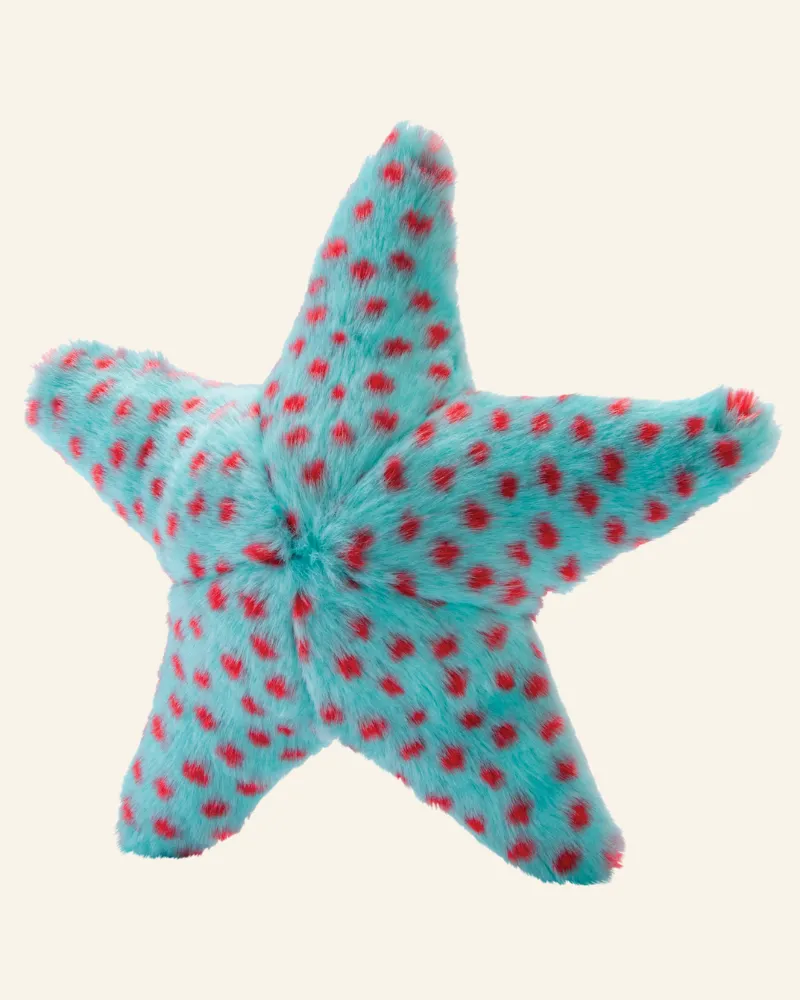 Ally The Starfish Crinkle Plush Dog Toy (FINAL SALE)