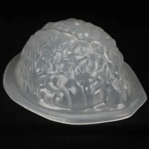 Brain Gel Mold