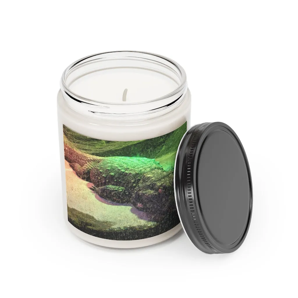 Crocodile Scented Candle, 9oz