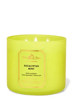 Eucalyptus Mint 3-Wick Candle