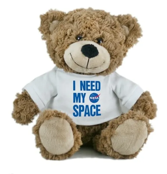 NASA I Need My Space Teddy Bear