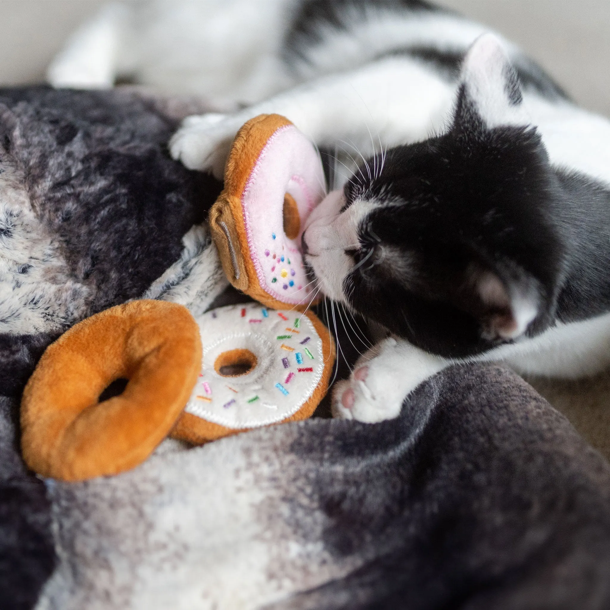 P.L.A.Y. Catnip Donuts - 3 Pack