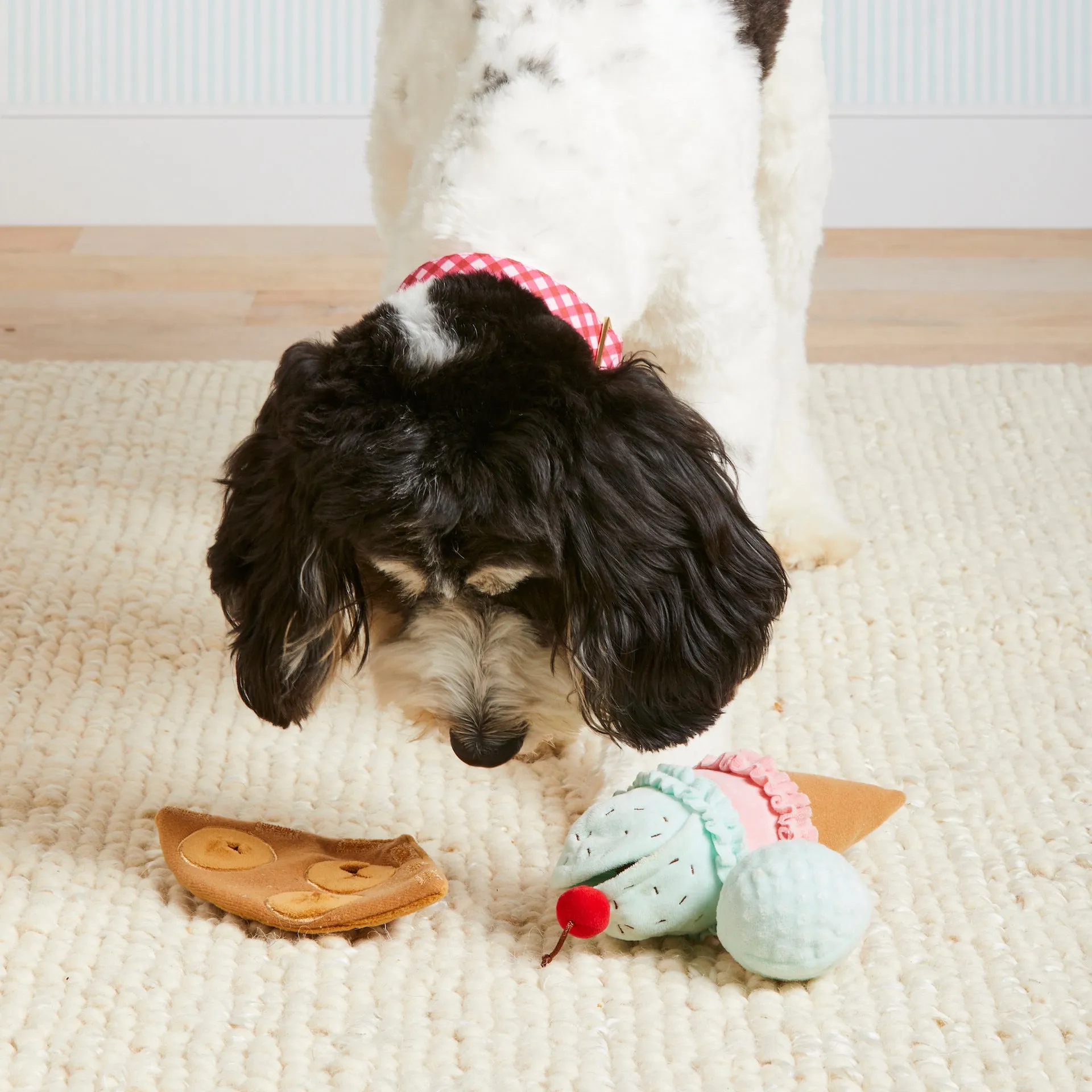 Sweet Treats Interactive Snuffle Dog Toy Set