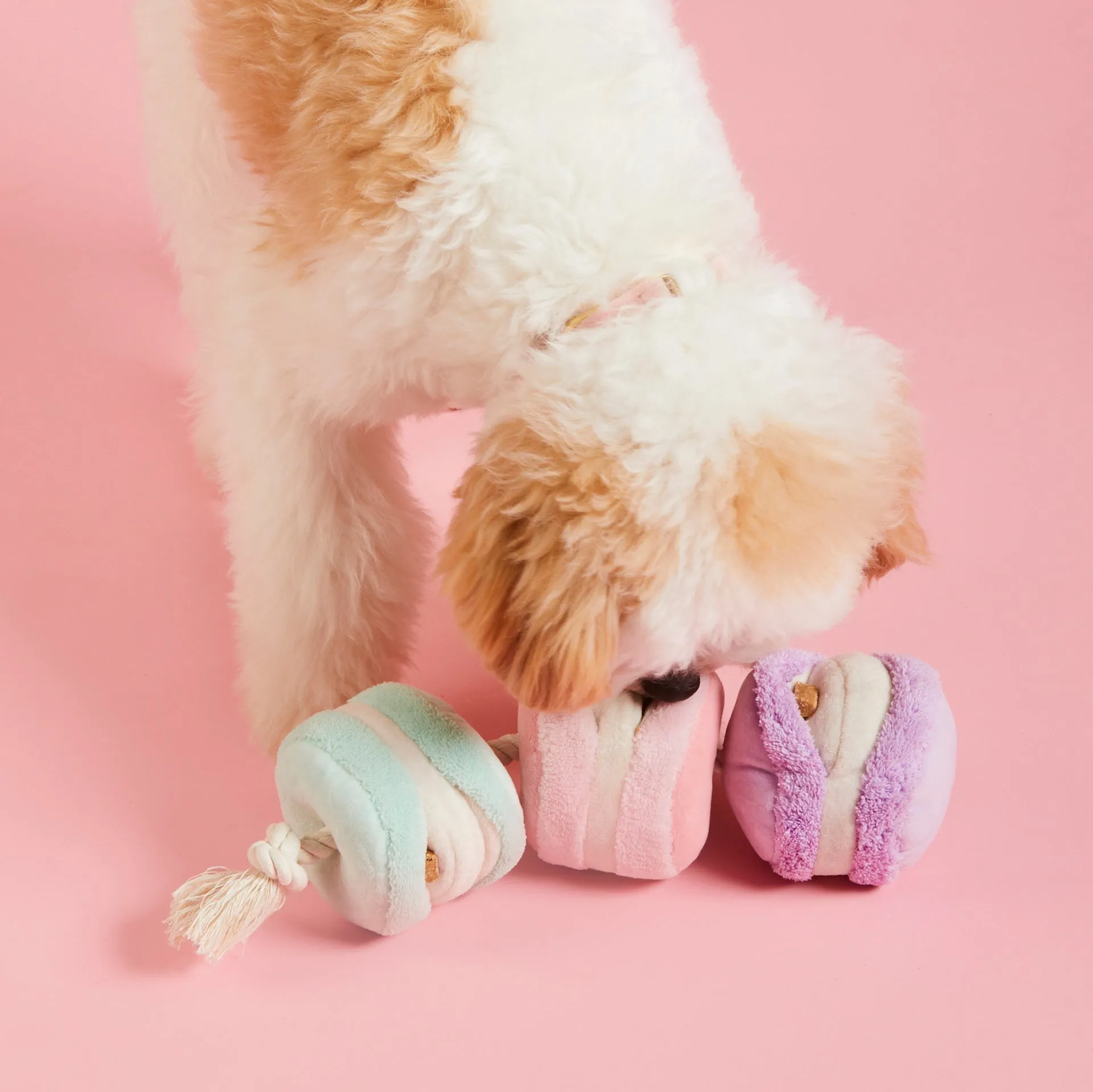 Sweet Treats Interactive Snuffle Dog Toy Set