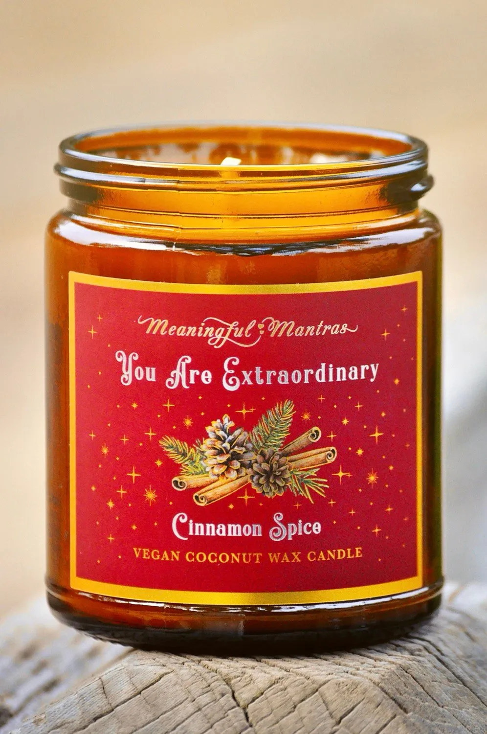 You Are Extraordinary Cinnamon Spice Holiday Aromatherapy Candle