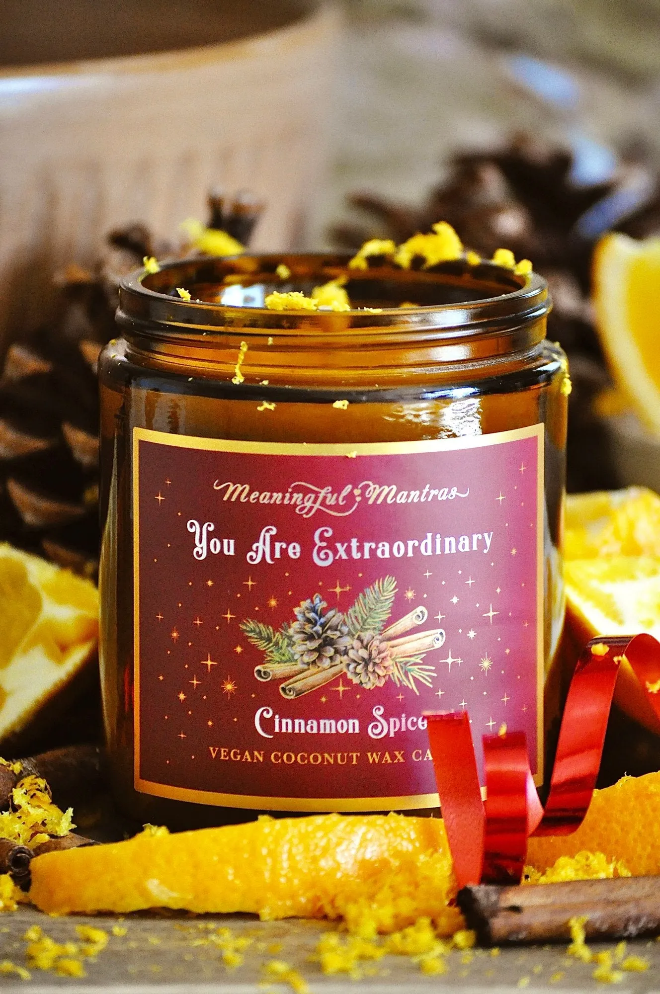 You Are Extraordinary Cinnamon Spice Holiday Aromatherapy Candle