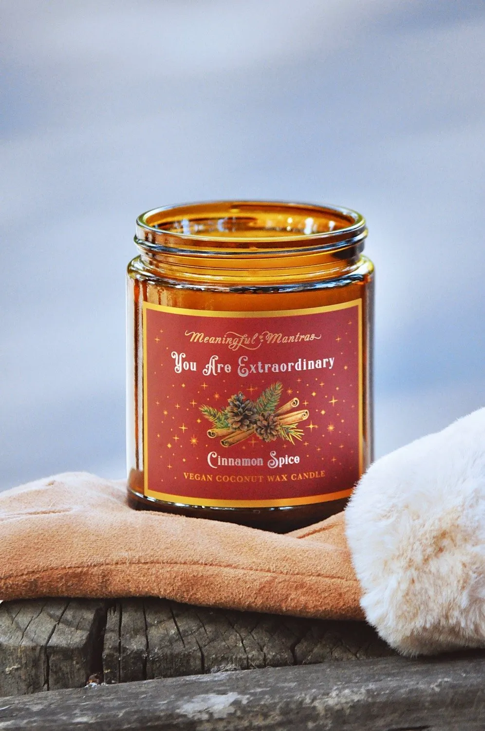 You Are Extraordinary Cinnamon Spice Holiday Aromatherapy Candle