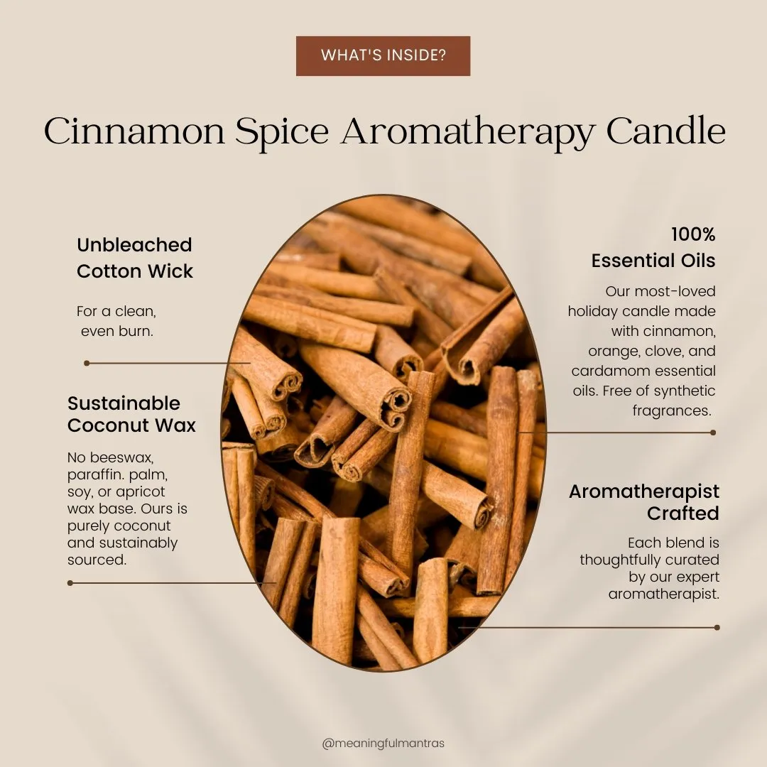 You Are Extraordinary Cinnamon Spice Holiday Aromatherapy Candle