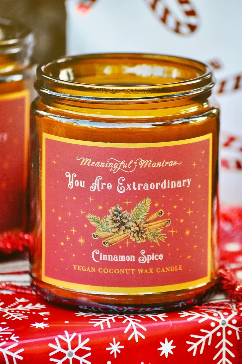 You Are Extraordinary Cinnamon Spice Holiday Aromatherapy Candle